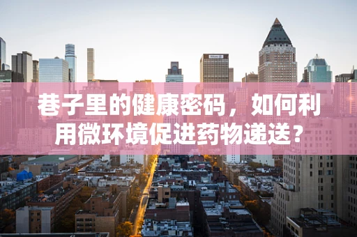 巷子里的健康密码，如何利用微环境促进药物递送？
