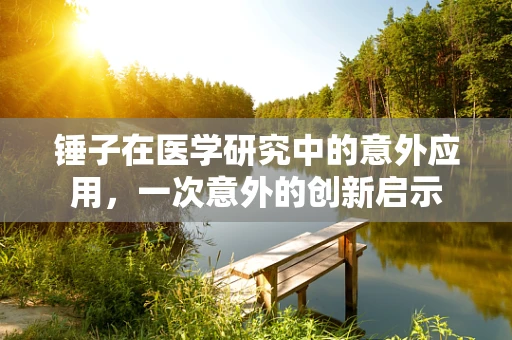 锤子在医学研究中的意外应用，一次意外的创新启示