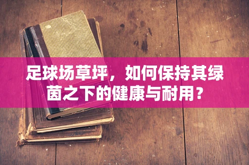 足球场草坪，如何保持其绿茵之下的健康与耐用？