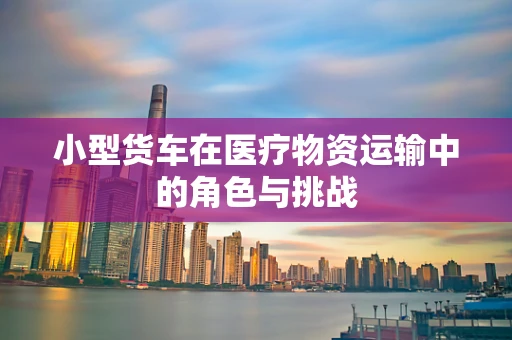 小型货车在医疗物资运输中的角色与挑战