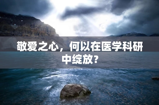 敬爱之心，何以在医学科研中绽放？