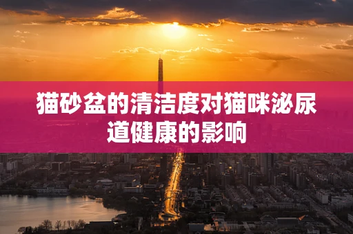 猫砂盆的清洁度对猫咪泌尿道健康的影响