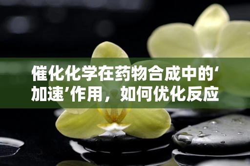 催化化学在药物合成中的‘加速’作用，如何优化反应效率？