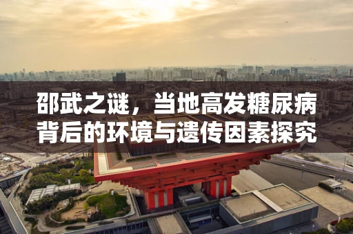 邵武之谜，当地高发糖尿病背后的环境与遗传因素探究
