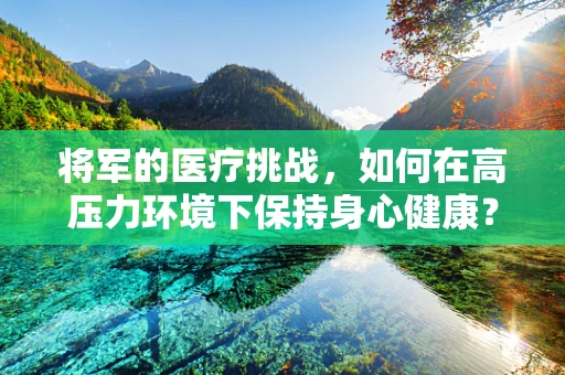 将军的医疗挑战，如何在高压力环境下保持身心健康？