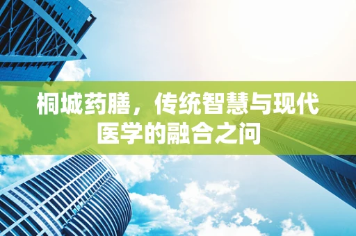 桐城药膳，传统智慧与现代医学的融合之问