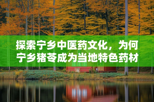 探索宁乡中医药文化，为何宁乡猪苓成为当地特色药材？