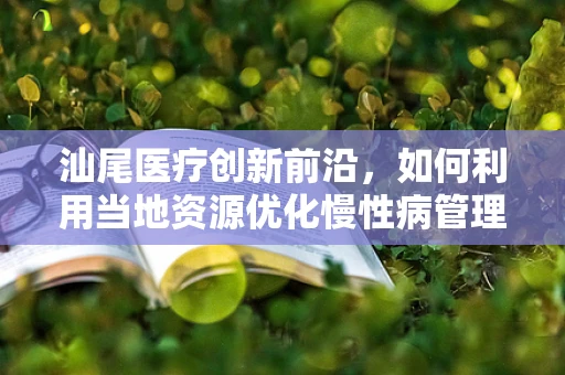 汕尾医疗创新前沿，如何利用当地资源优化慢性病管理？