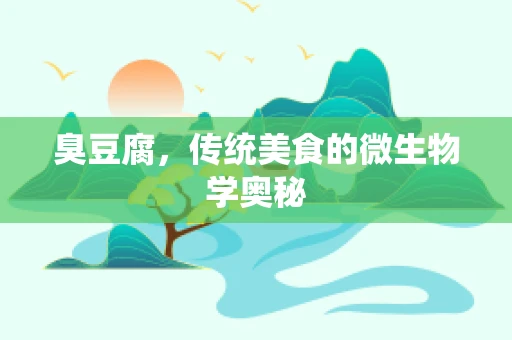 臭豆腐，传统美食的微生物学奥秘