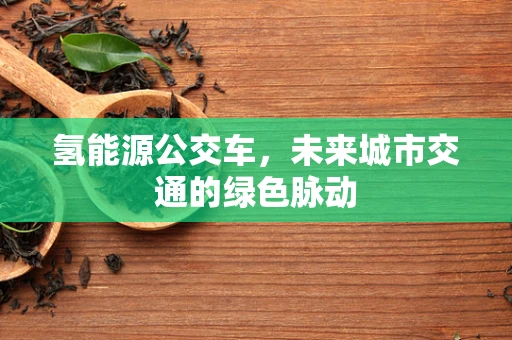氢能源公交车，未来城市交通的绿色脉动