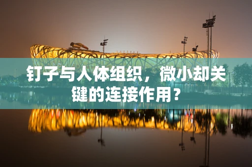 钉子与人体组织，微小却关键的连接作用？