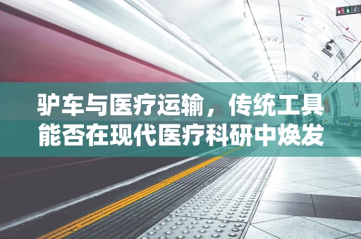 驴车与医疗运输，传统工具能否在现代医疗科研中焕发新生？