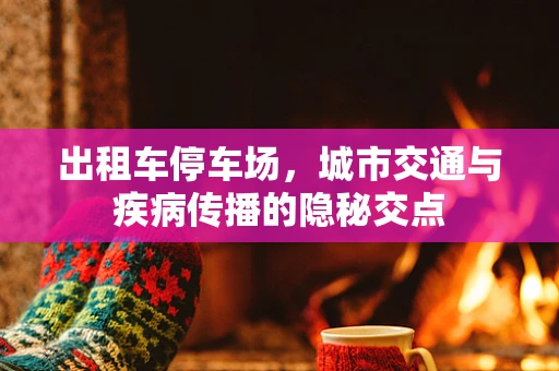 出租车停车场，城市交通与疾病传播的隐秘交点
