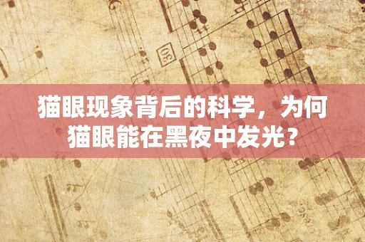 猫眼现象背后的科学，为何猫眼能在黑夜中发光？
