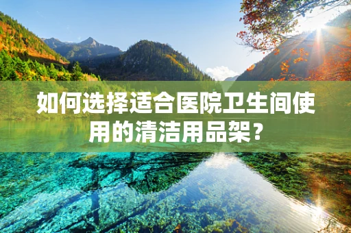 如何选择适合医院卫生间使用的清洁用品架？