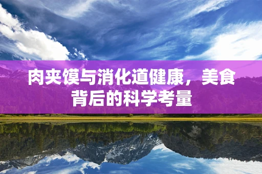 肉夹馍与消化道健康，美食背后的科学考量