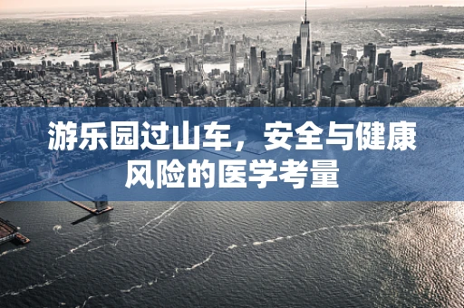 游乐园过山车，安全与健康风险的医学考量