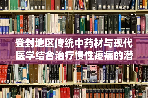 登封地区传统中药材与现代医学结合治疗慢性疼痛的潜力研究