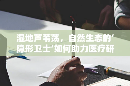 湿地芦苇荡，自然生态的‘隐形卫士’如何助力医疗研究？