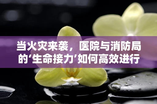 当火灾来袭，医院与消防局的‘生命接力’如何高效进行？