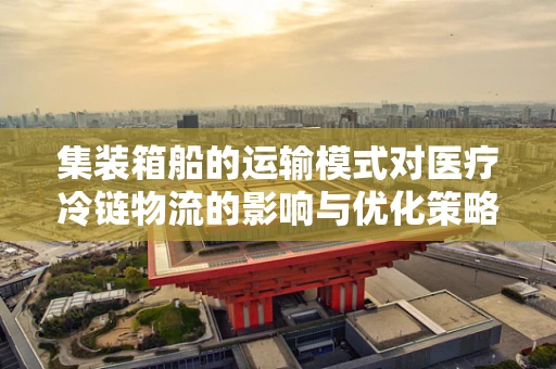 集装箱船的运输模式对医疗冷链物流的影响与优化策略