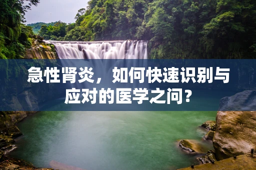 急性肾炎，如何快速识别与应对的医学之问？