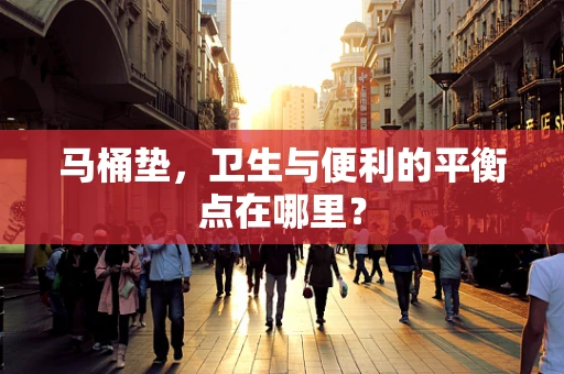马桶垫，卫生与便利的平衡点在哪里？