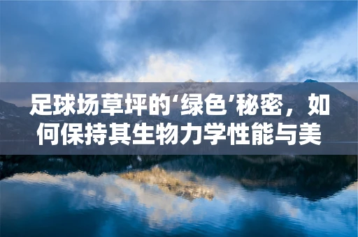 足球场草坪的‘绿色’秘密，如何保持其生物力学性能与美观并重？