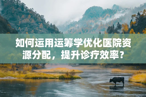 如何运用运筹学优化医院资源分配，提升诊疗效率？