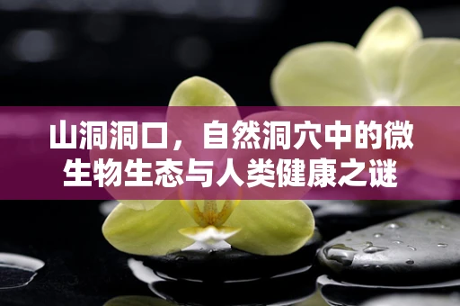 山洞洞口，自然洞穴中的微生物生态与人类健康之谜