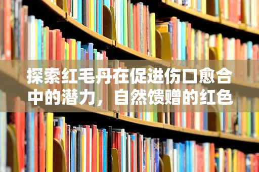 探索红毛丹在促进伤口愈合中的潜力，自然馈赠的红色奇迹