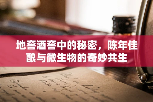 地窖酒窖中的秘密，陈年佳酿与微生物的奇妙共生