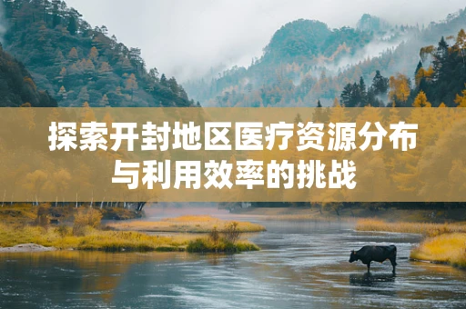 探索开封地区医疗资源分布与利用效率的挑战