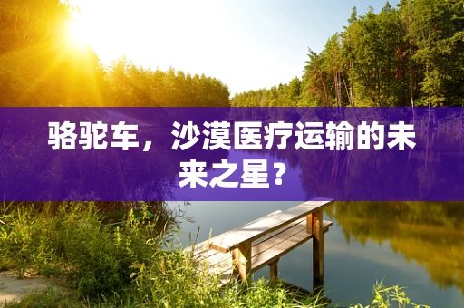 骆驼车，沙漠医疗运输的未来之星？