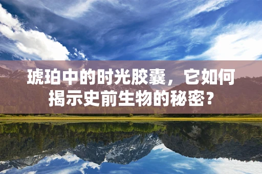 琥珀中的时光胶囊，它如何揭示史前生物的秘密？