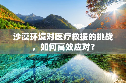 沙漠环境对医疗救援的挑战，如何高效应对？