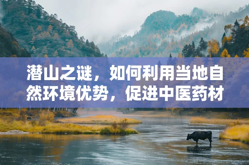 潜山之谜，如何利用当地自然环境优势，促进中医药材的特色研究？