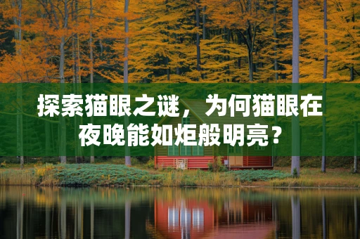 探索猫眼之谜，为何猫眼在夜晚能如炬般明亮？