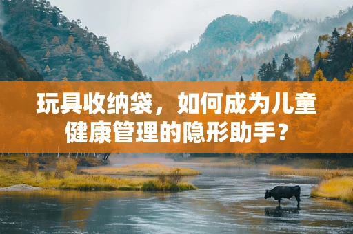 玩具收纳袋，如何成为儿童健康管理的隐形助手？