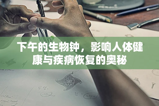 下午的生物钟，影响人体健康与疾病恢复的奥秘