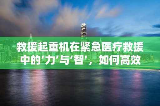 救援起重机在紧急医疗救援中的‘力’与‘智’，如何高效整合资源？