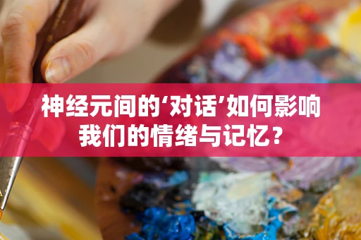 神经元间的‘对话’如何影响我们的情绪与记忆？