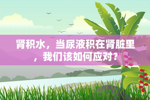 肾积水，当尿液积在肾脏里，我们该如何应对？