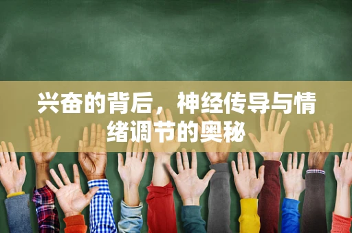 兴奋的背后，神经传导与情绪调节的奥秘