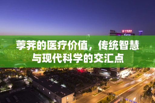 荸荠的医疗价值，传统智慧与现代科学的交汇点