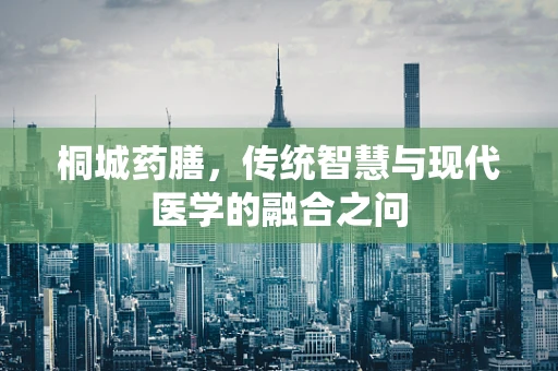 桐城药膳，传统智慧与现代医学的融合之问