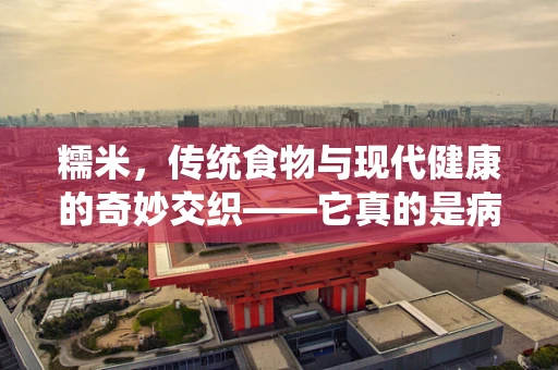 糯米，传统食物与现代健康的奇妙交织——它真的是病号饭的良选吗？