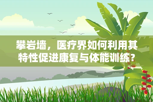 攀岩墙，医疗界如何利用其特性促进康复与体能训练？