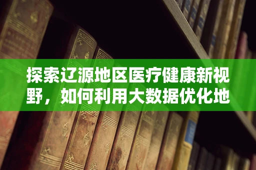 探索辽源地区医疗健康新视野，如何利用大数据优化地方医疗资源分配？
