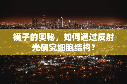 镜子的奥秘，如何通过反射光研究细胞结构？